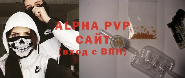 мяу мяу кристалл Корсаков