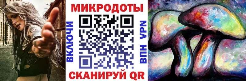 Галлюциногенные грибы Psilocybine cubensis Вельск