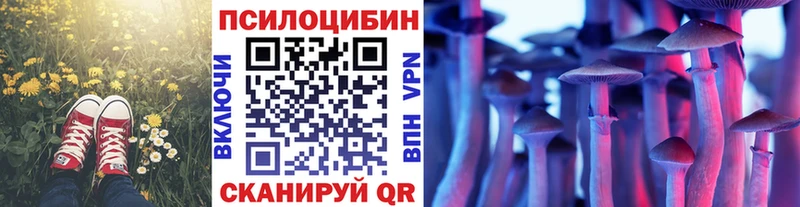 Купить  Вельск  Галлюциногенные грибы прущие грибы 